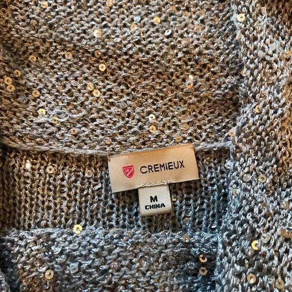 Sparkling Silver Cremieux Sweater - Picture 4 of 7